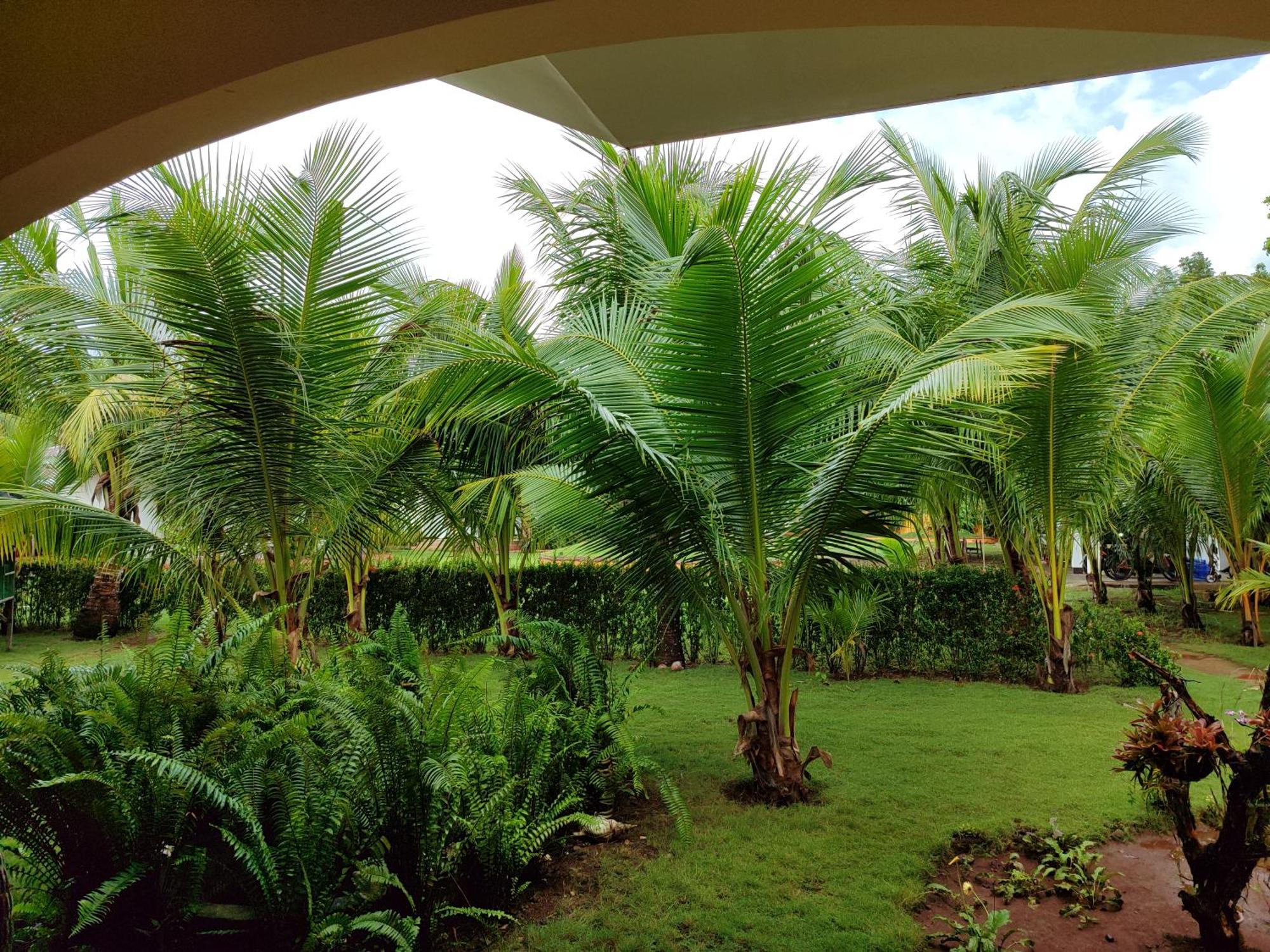 E&N Paradise Island Resort ซีคีฮอร์ ภายนอก รูปภาพ